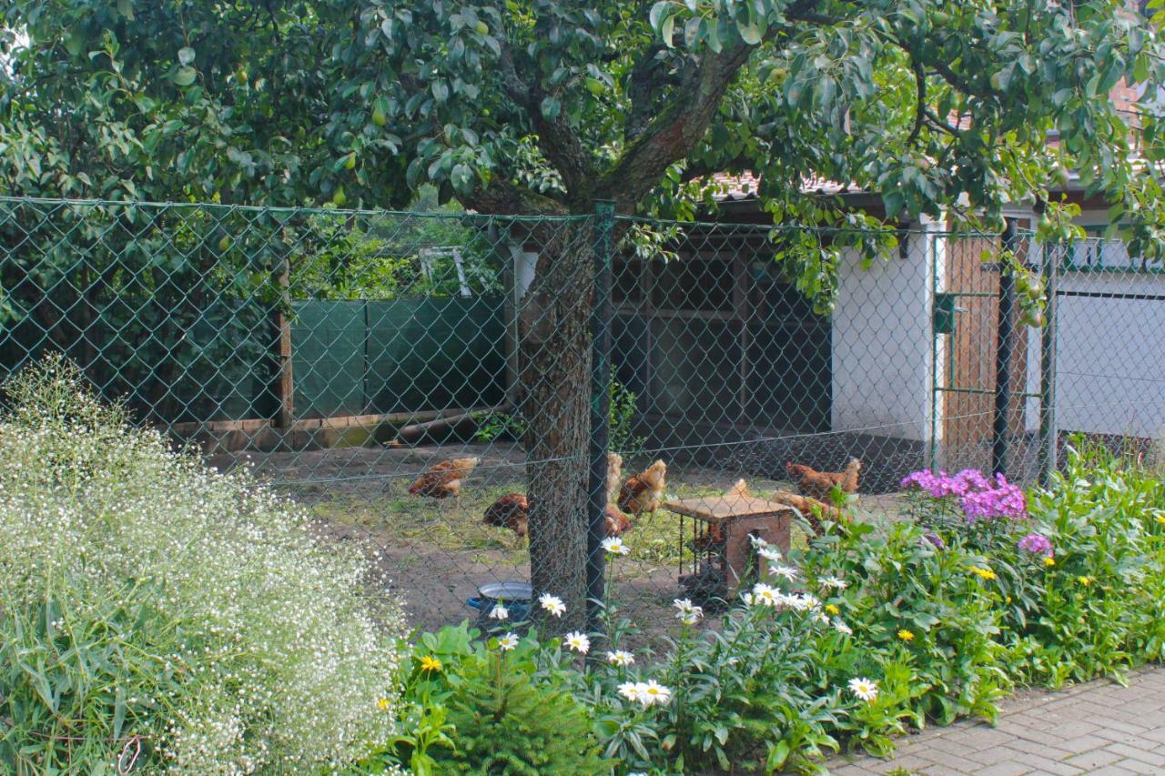 An Der Hainmuehle Lübben Exterior foto