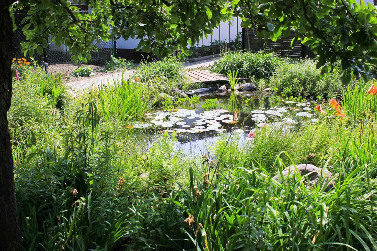 An Der Hainmuehle Lübben Exterior foto